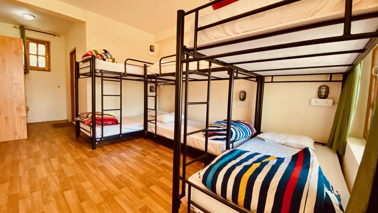 Deluxe 6-Bed Mixed Dormitory,1025393206:JPEG