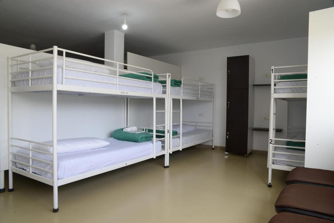 Bunk Bed Mixed Dormitory Room