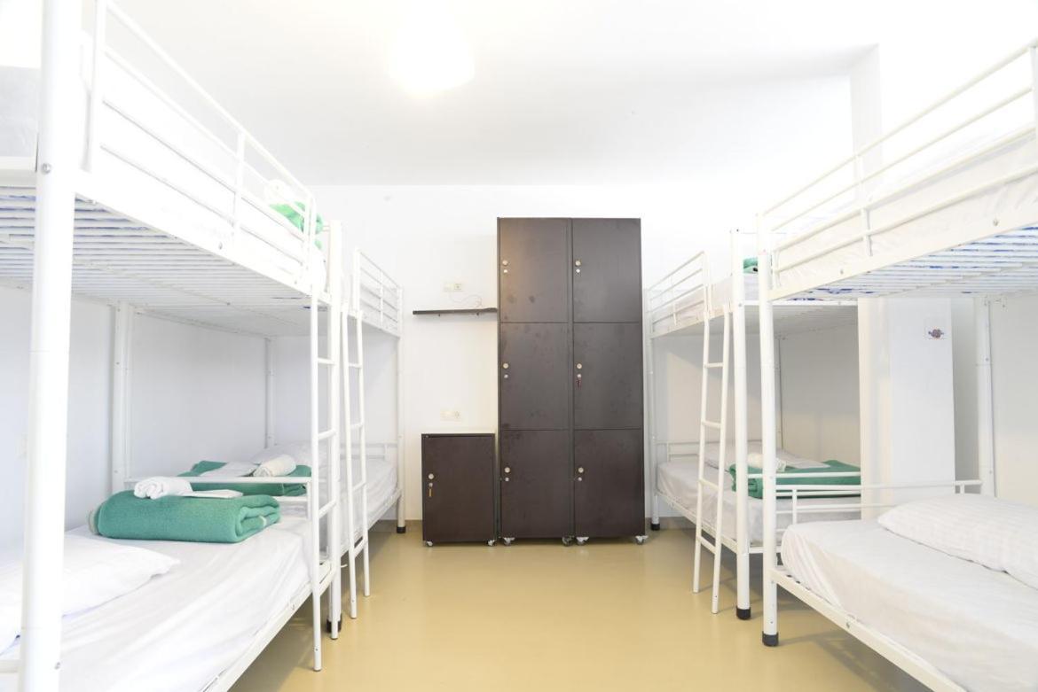 Bunk Bed Mixed Dormitory Room