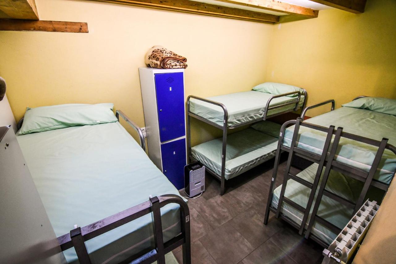 Bunk Bed Mixed Dormitory Room