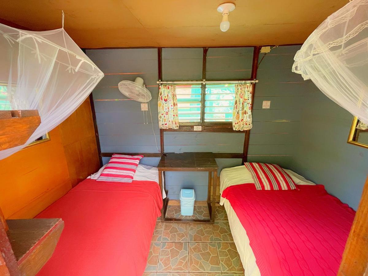 Budget Twin Room,1110914502:JPEG