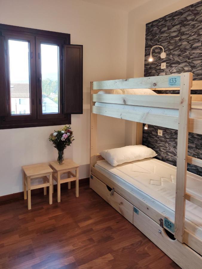 Bunk Bed Mixed Dormitory Room