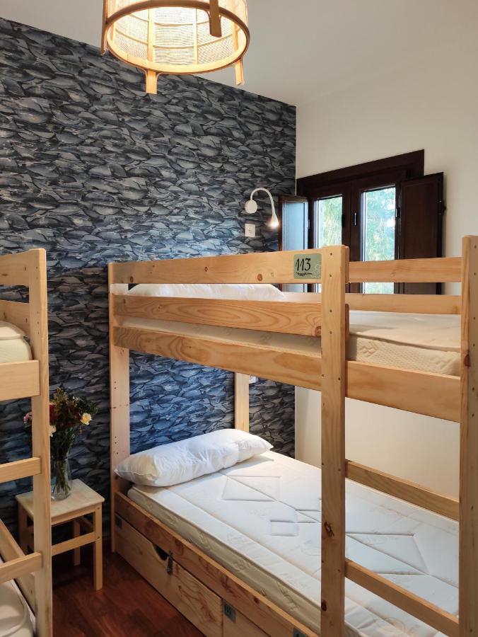Bunk Bed Mixed Dormitory Room