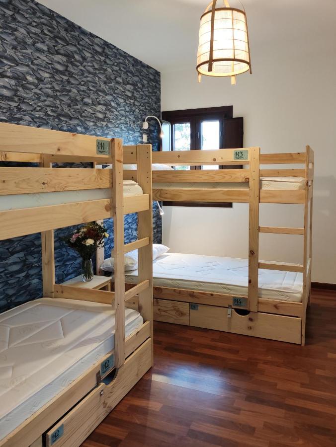 Bunk Bed Mixed Dormitory Room