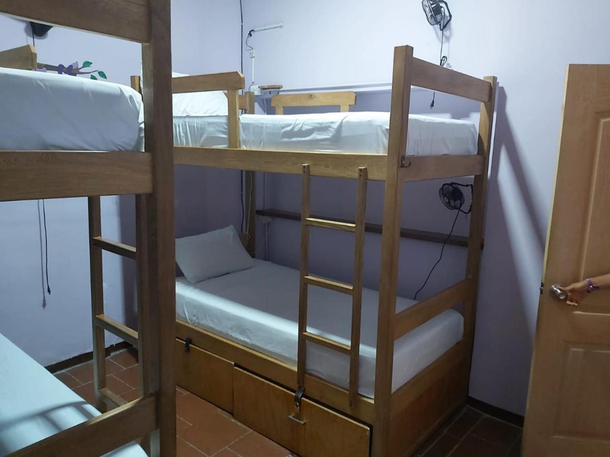 Cama en habitación compartida mixta de 4 camas