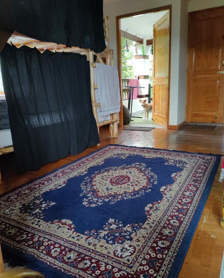Bed in 6-Bed Dormitory Room,1162982574:JPEG
