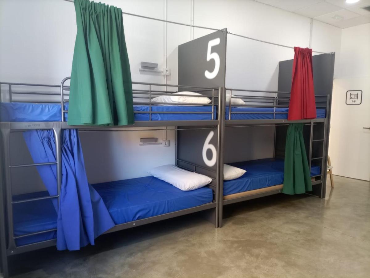 Bunk Bed Mixed Dormitory Room