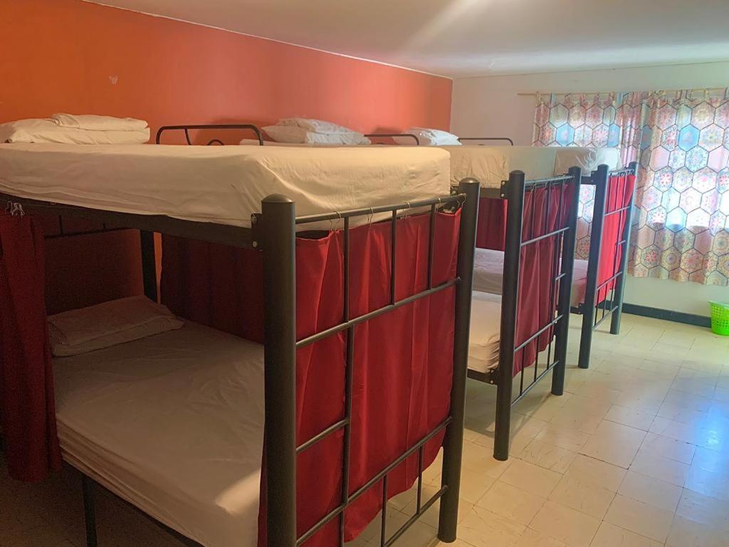 Bed in 8-Bed Mixed Dormitory Room,1243889833:JPEG