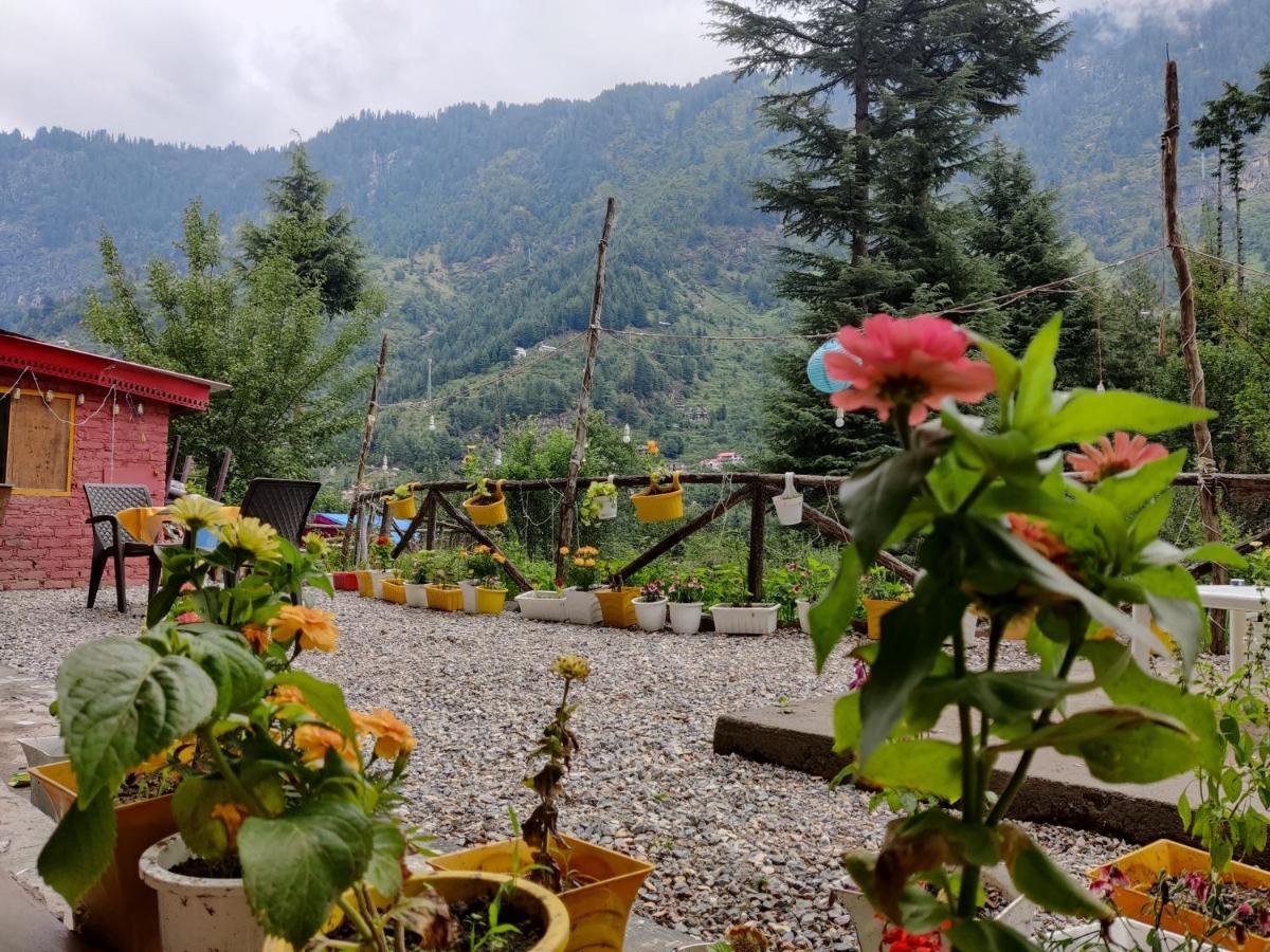 Double Room Mountain View