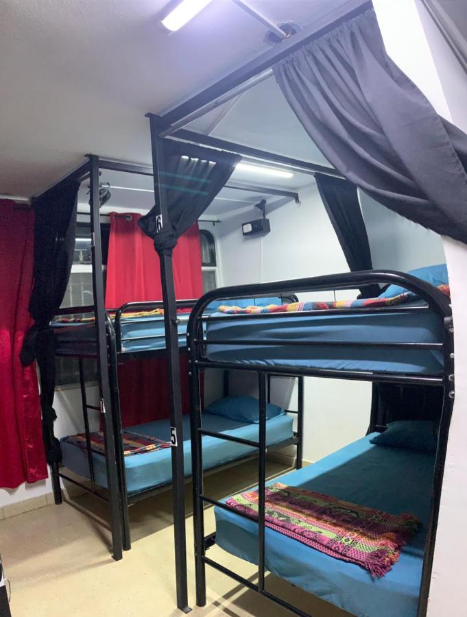 Bunk Bed in Mixed Dormitory Room,1538629306:JPEG