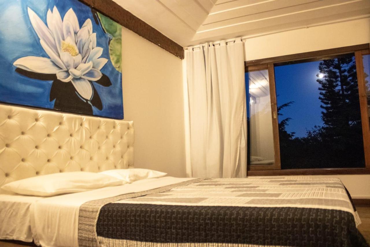 Habitación Superior con vistas al jardín