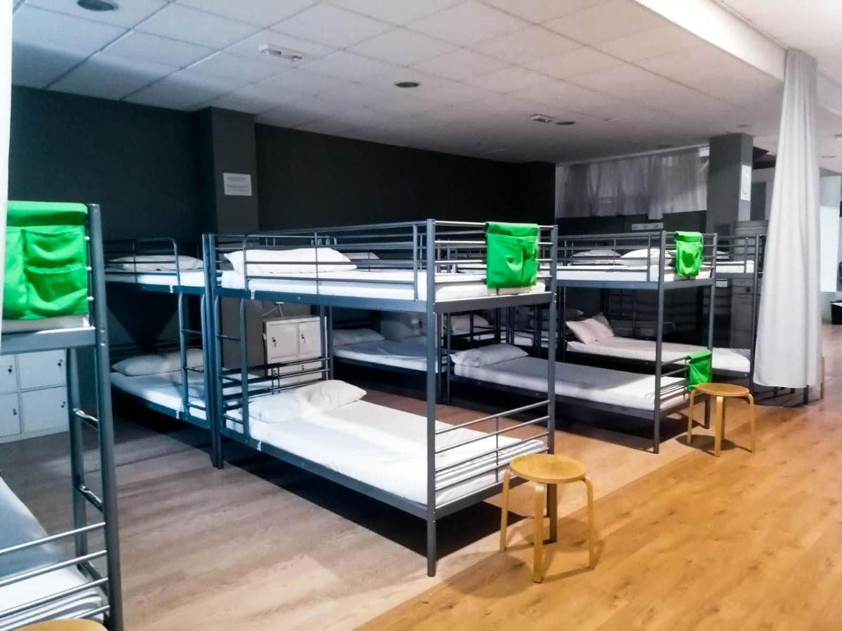 Bunk Bed Mixed Dormitory Room