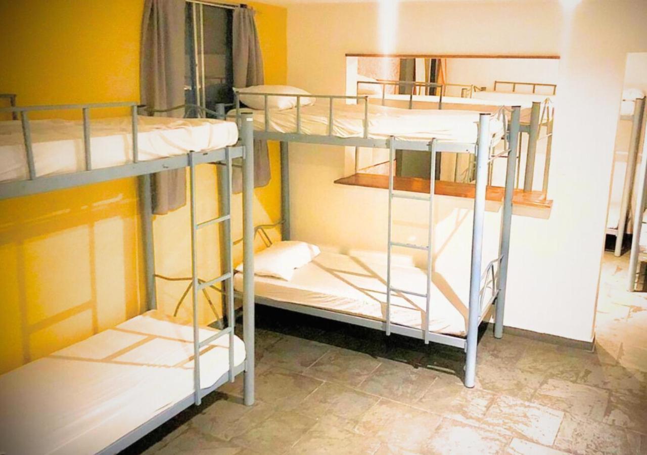 Bunk Bed Mixed Dormitory Room