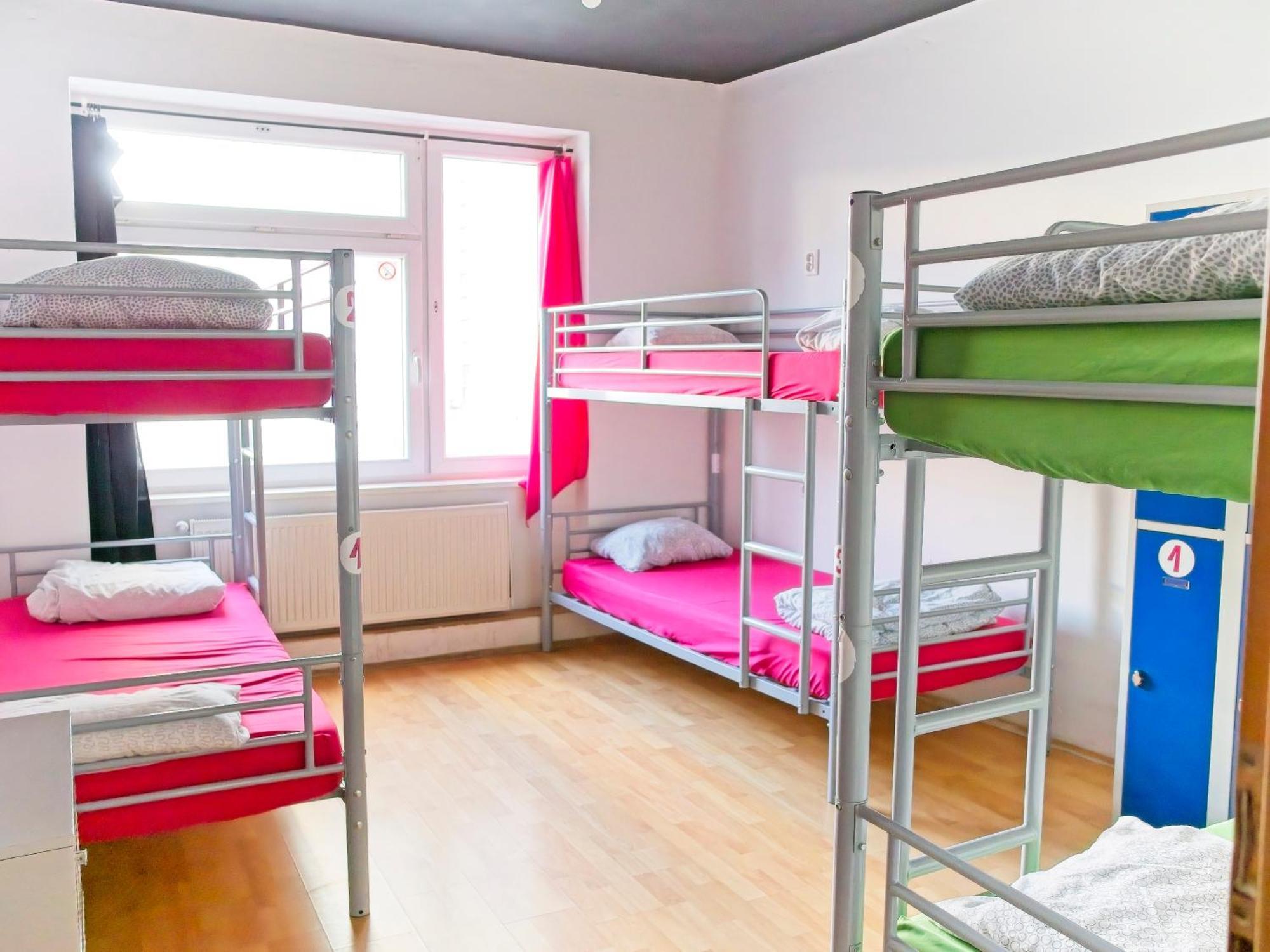 Bed 14-Bed Mixed Dormitory Room