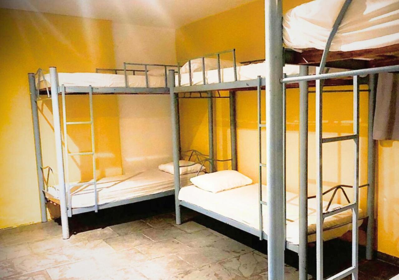 Bunk Bed Mixed Dormitory Room