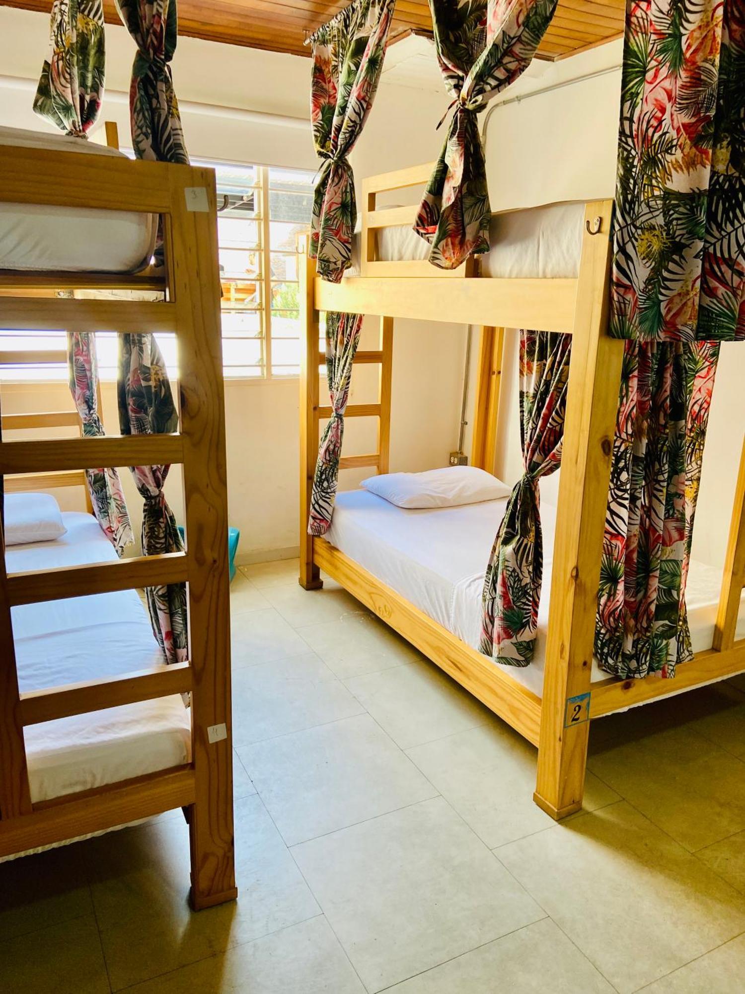 6-Bed Female Dormitory Room,1544204587:JPEG