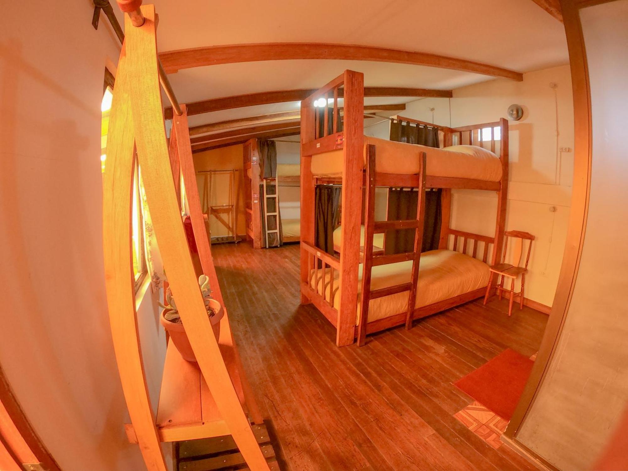 Single Bed in Mixed Dormitory Room,1553213530:JPEG