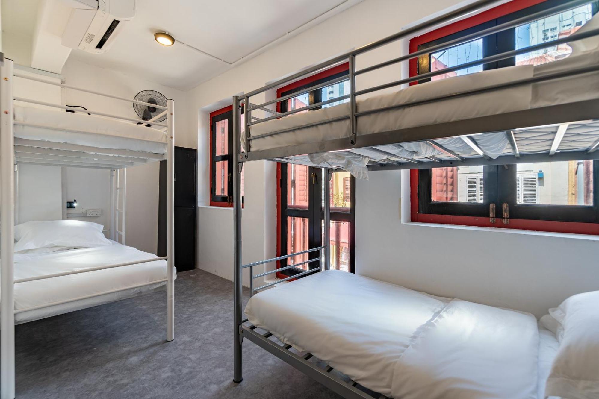 Single Bed 6-Bed Mixed Dorm,1571564909:JPEG