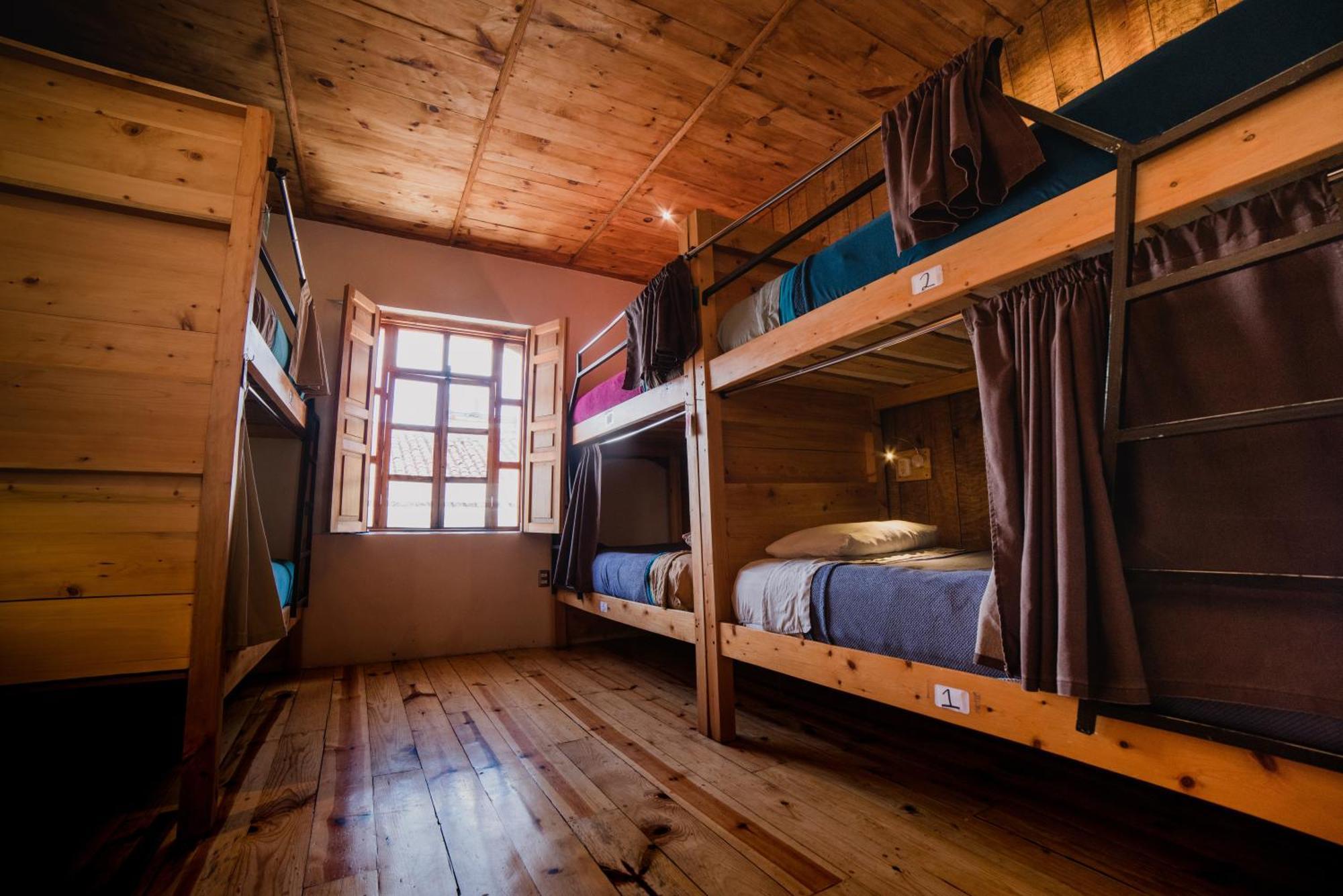 Bunk Bed in Mixed Dormitory Room,1578399872:JPEG