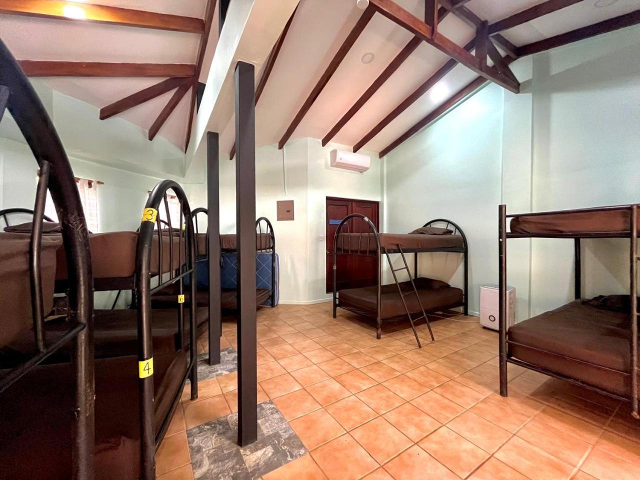 Single Bed Dormitory Room,1613440532:JPEG