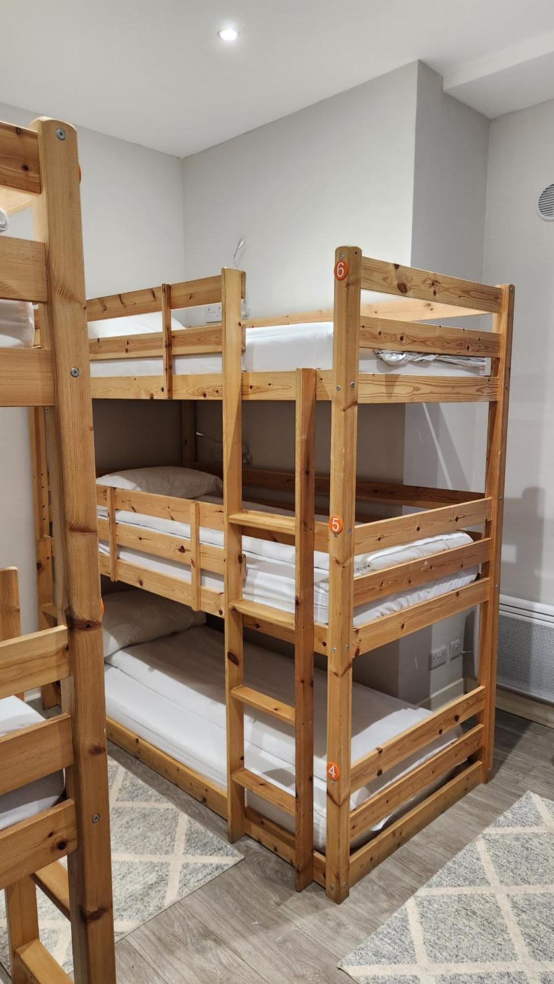 Bunk Bed in 9-Bed Mixed Dormitory Room,1631991565:JPEG