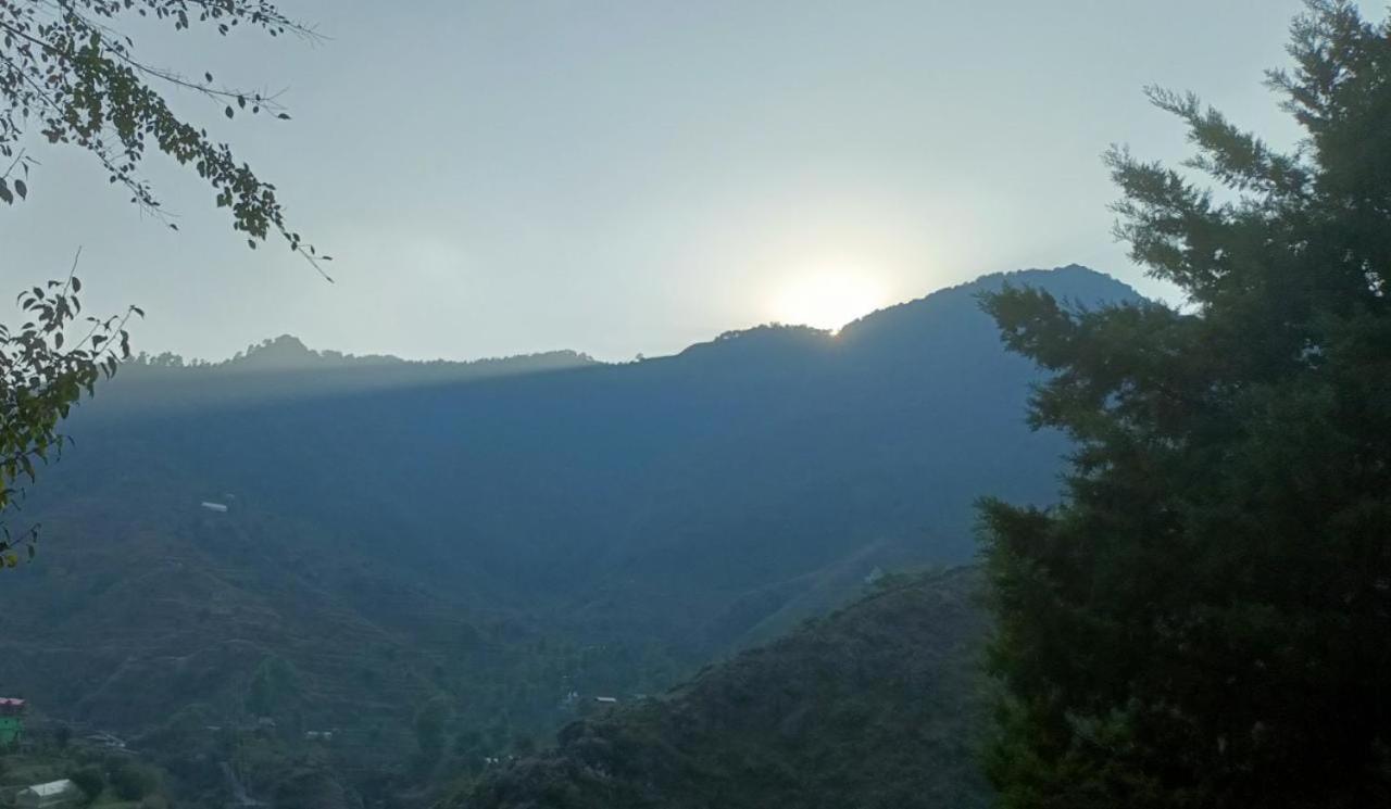 4-Bed Mixed Dormitory Room,1639453607:JPEG