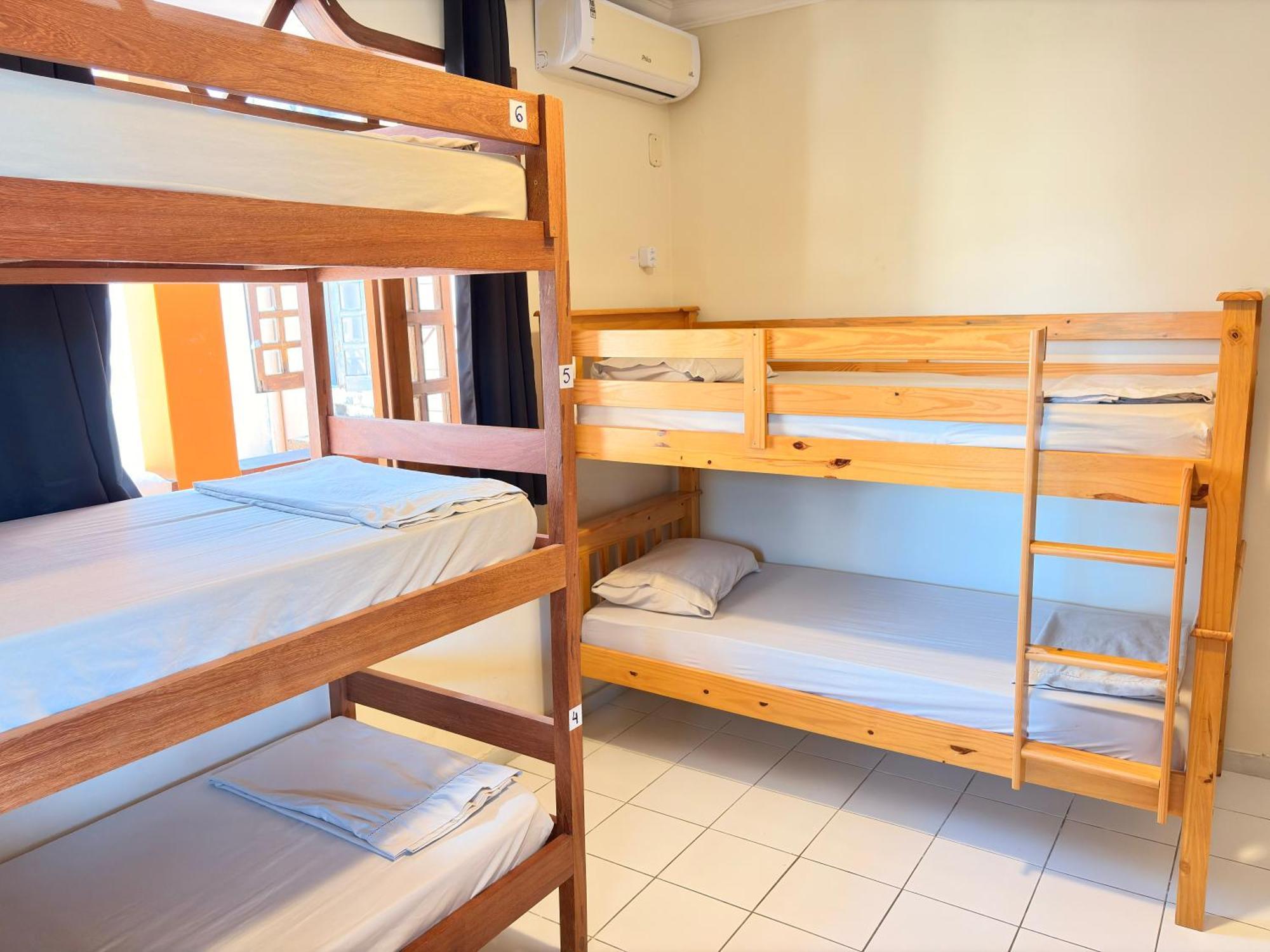 Bunk Bed Mixed Dormitory Room
