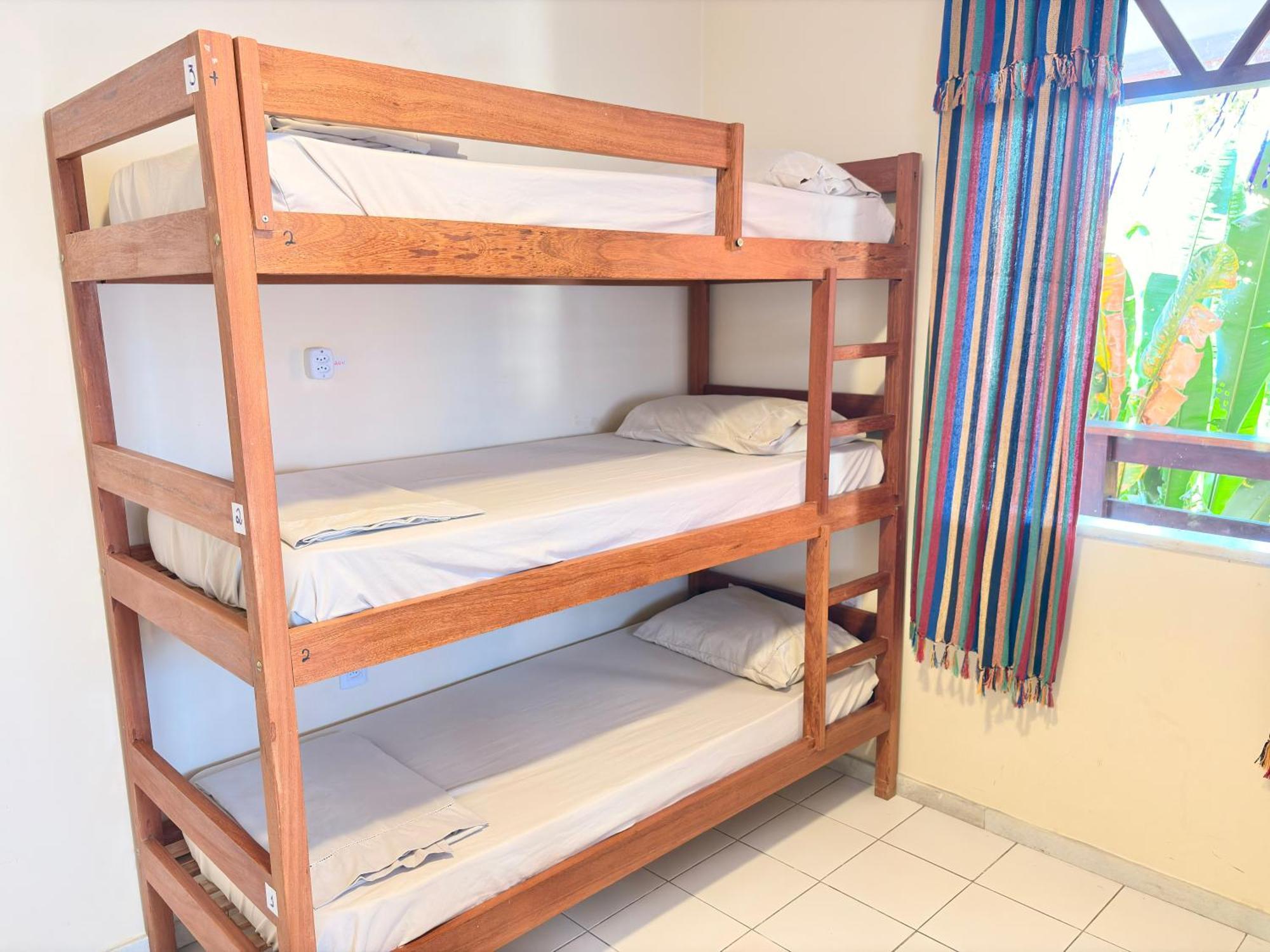 Bunk Bed Mixed Dormitory Room