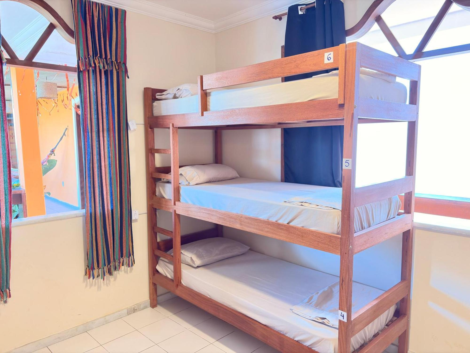 Bunk Bed Mixed Dormitory Room