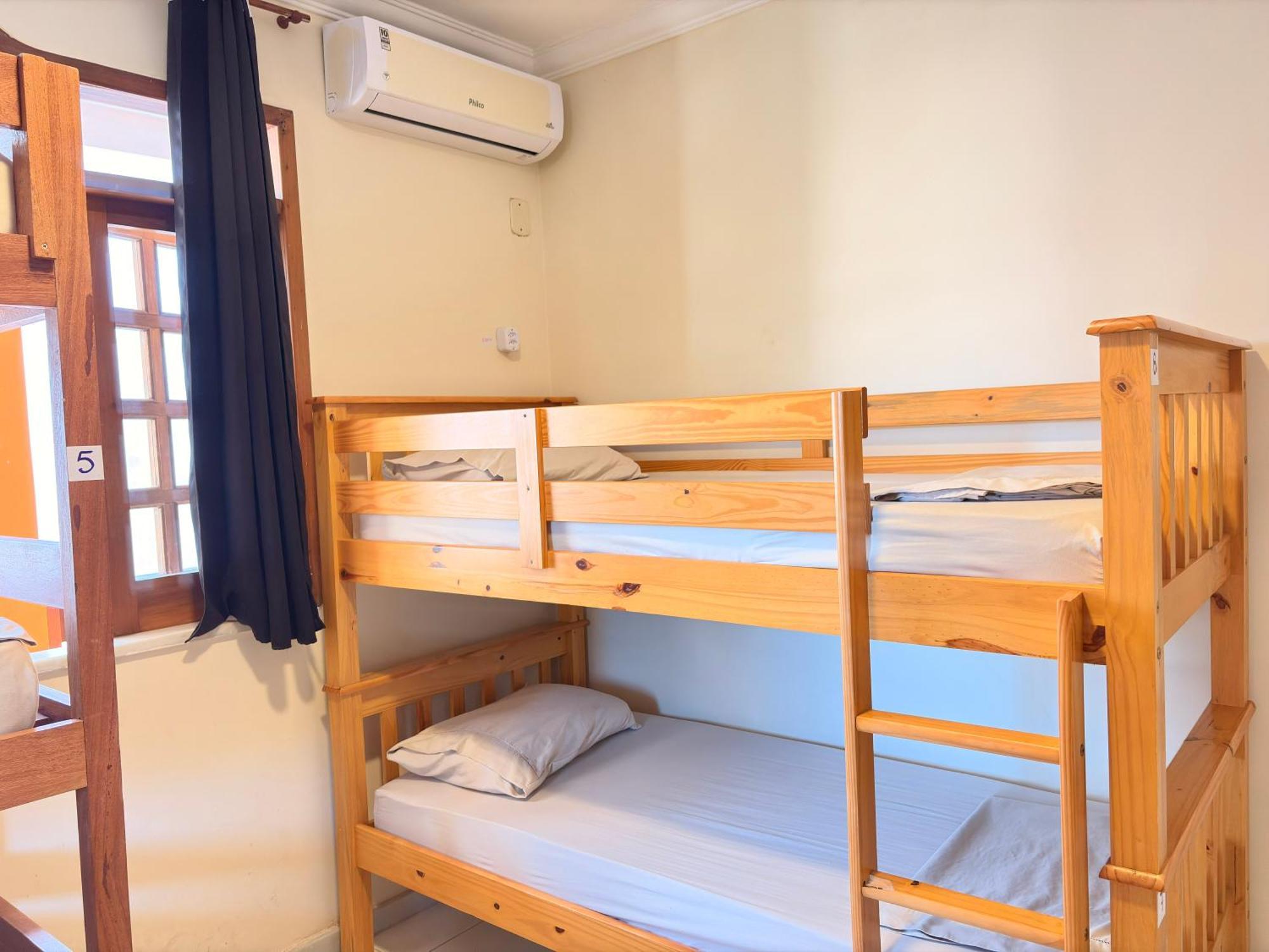Bunk Bed Mixed Dormitory Room