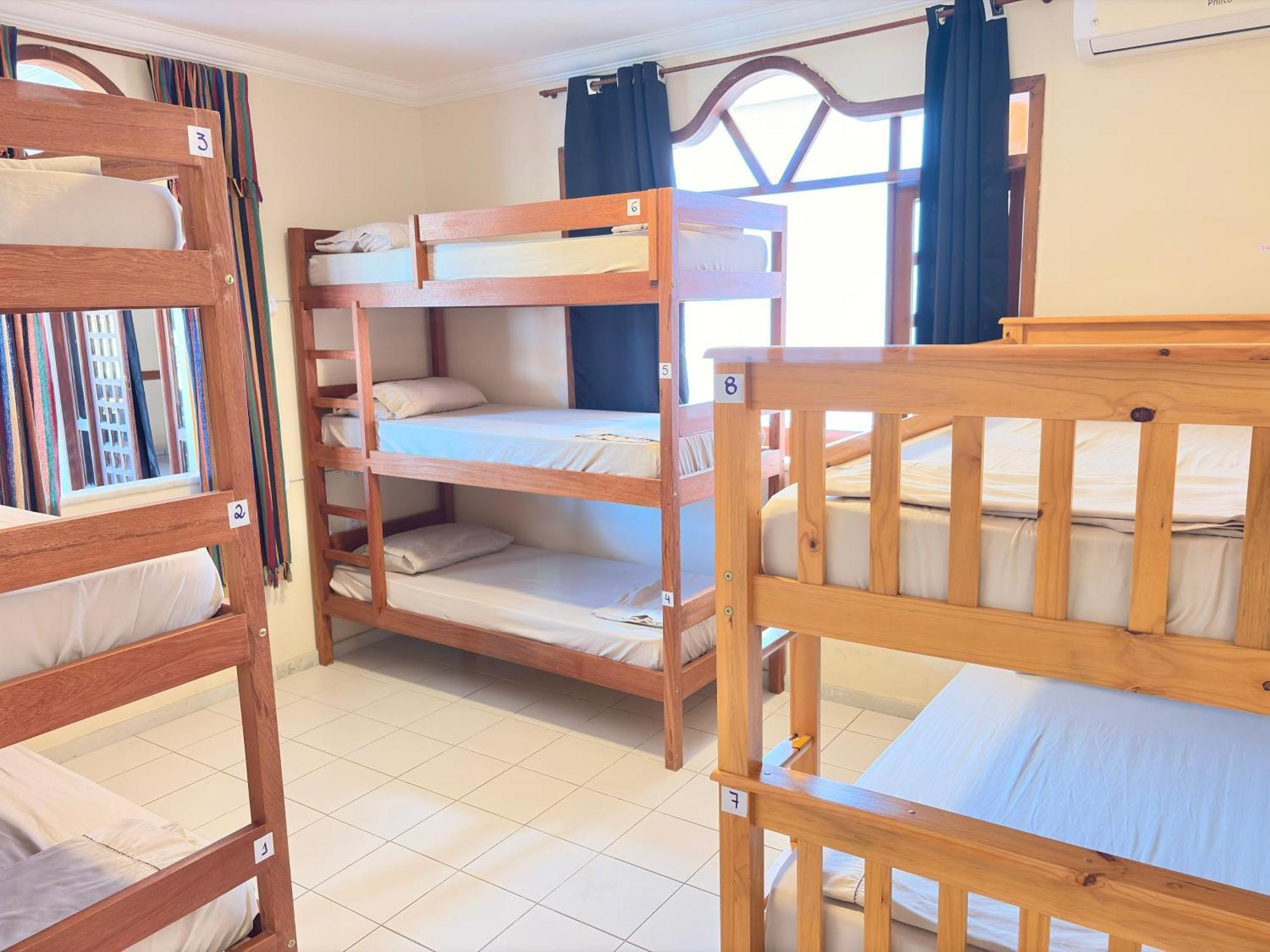 Bunk Bed Mixed Dormitory Room