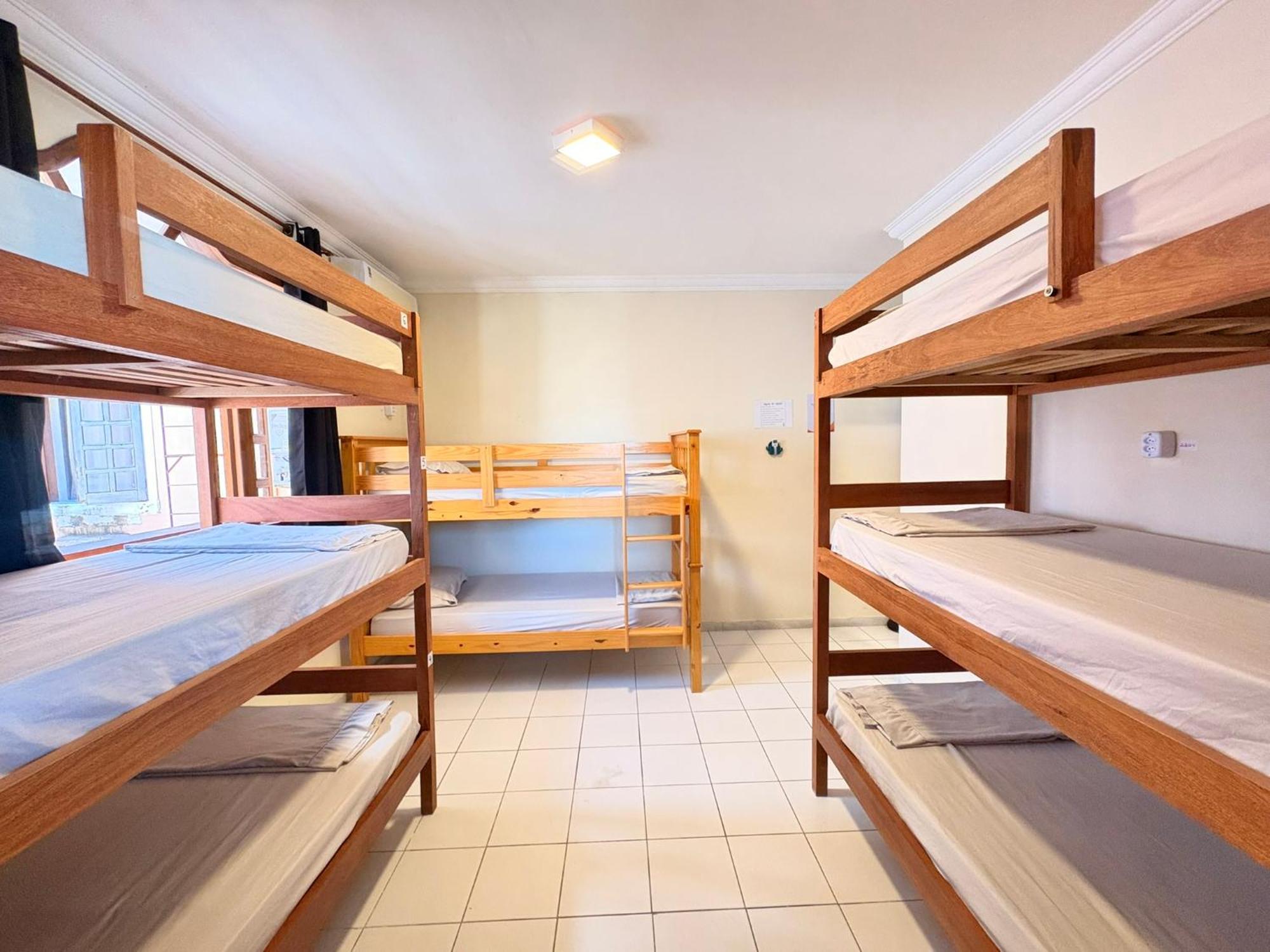 Bunk Bed Mixed Dormitory Room