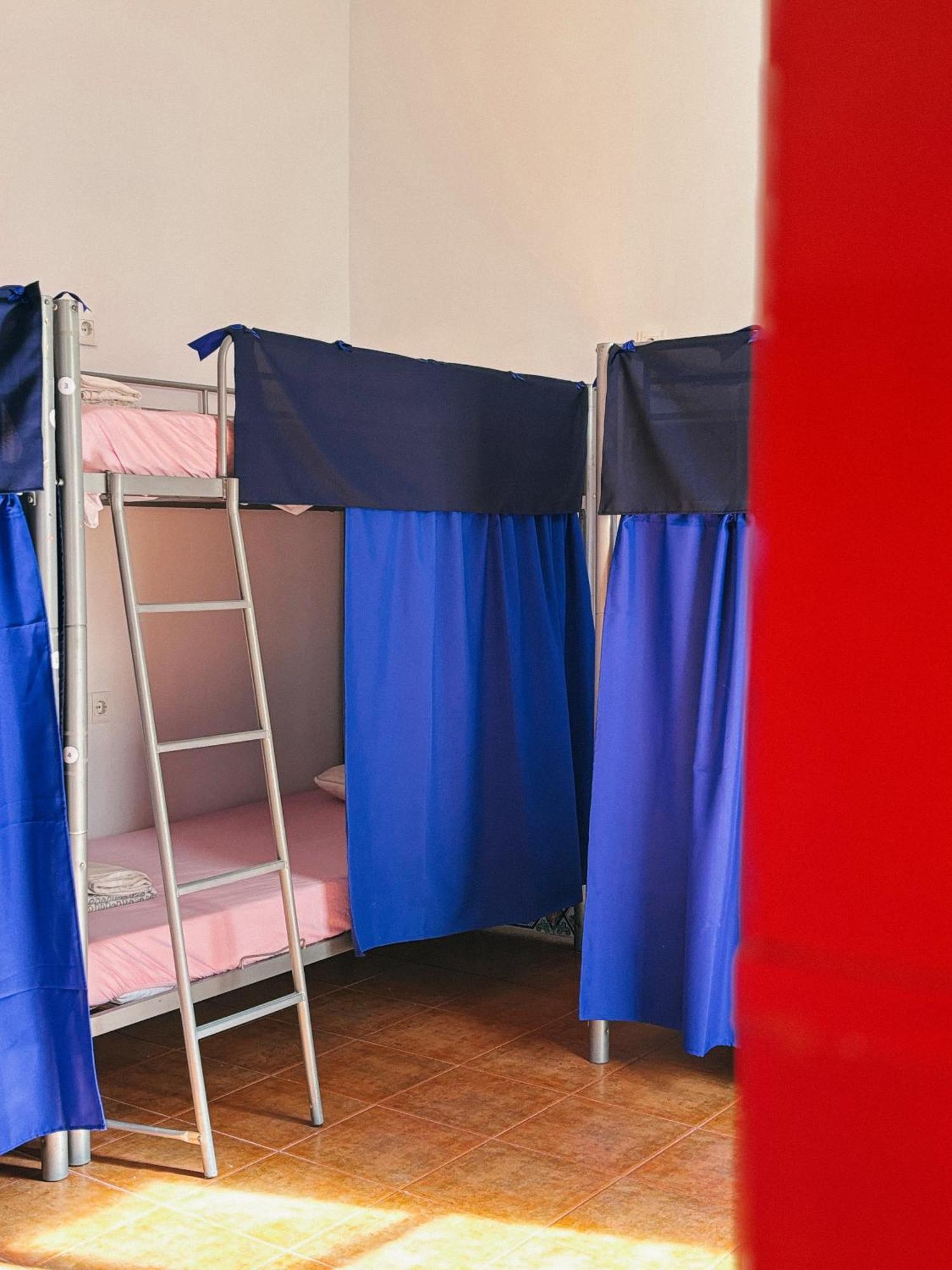 Bed in 8-Bed Female Dormitory Room,1683835028:JPEG