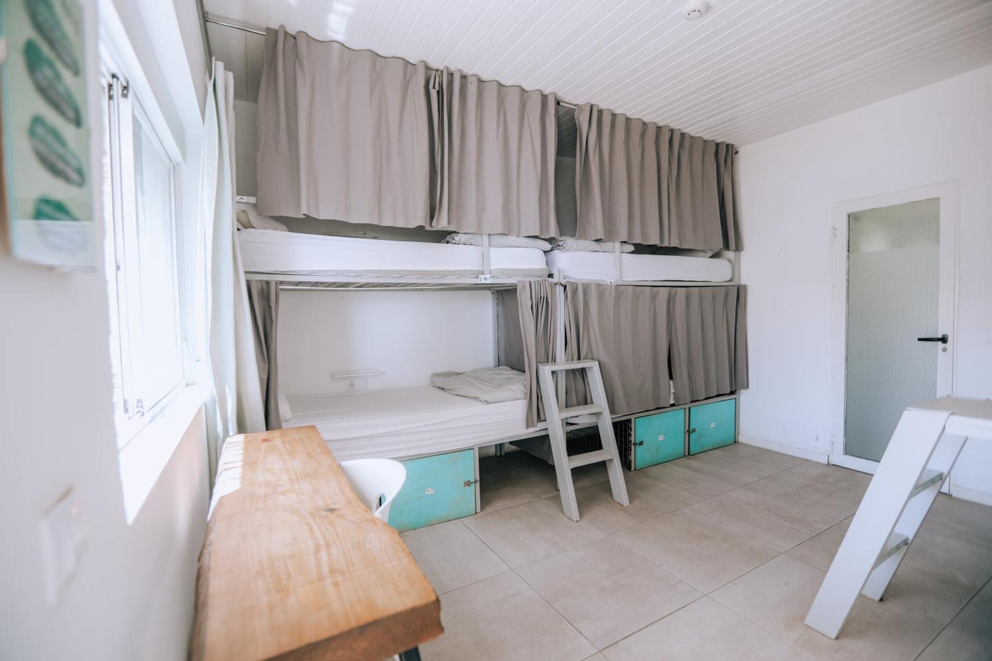 Bunk Bed Mixed Dormitory Room