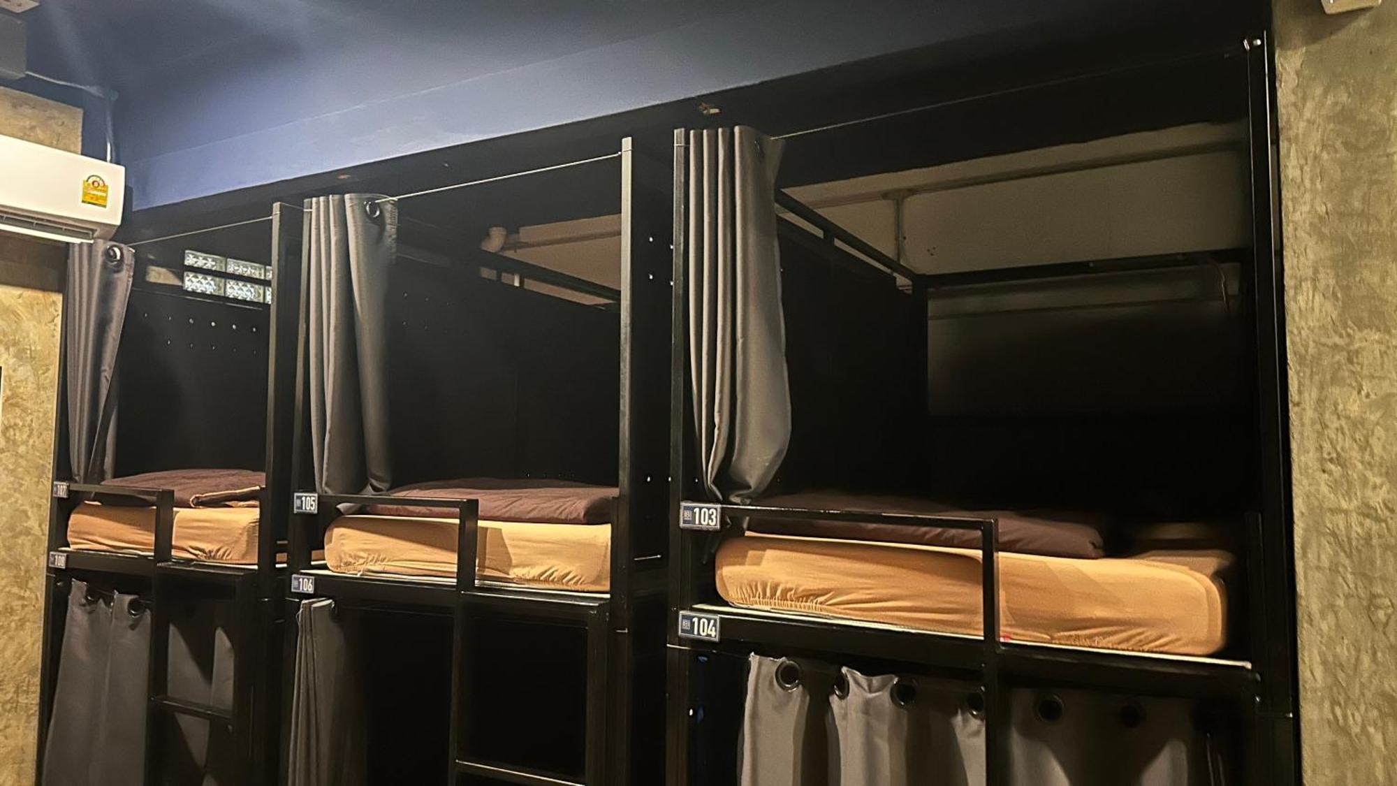 Bunk Bed in Mixed Dormitory Room
