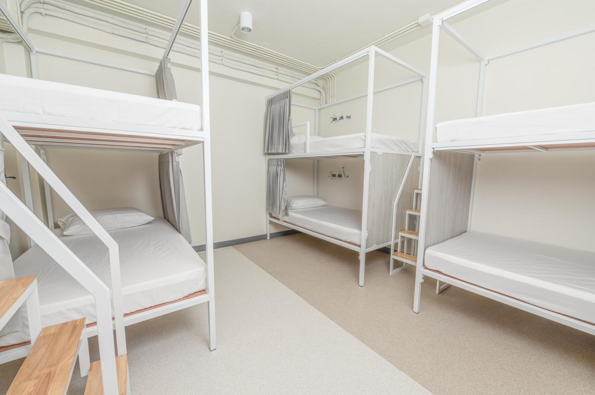 Bunk Bed in Mixed Dormitory Room