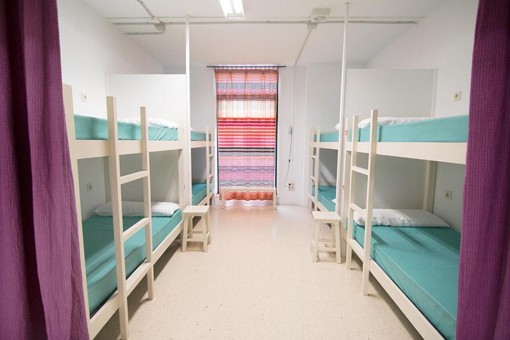Bunk Bed Mixed Dormitory Room