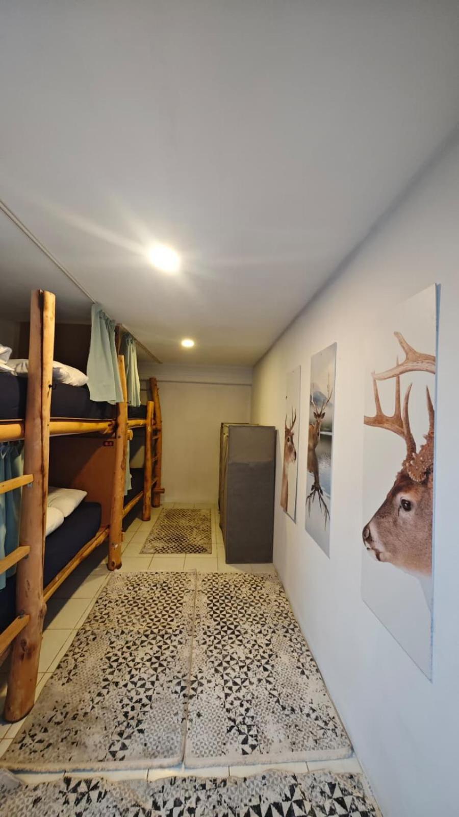 Bunk Bed in Mixed Dormitory Room