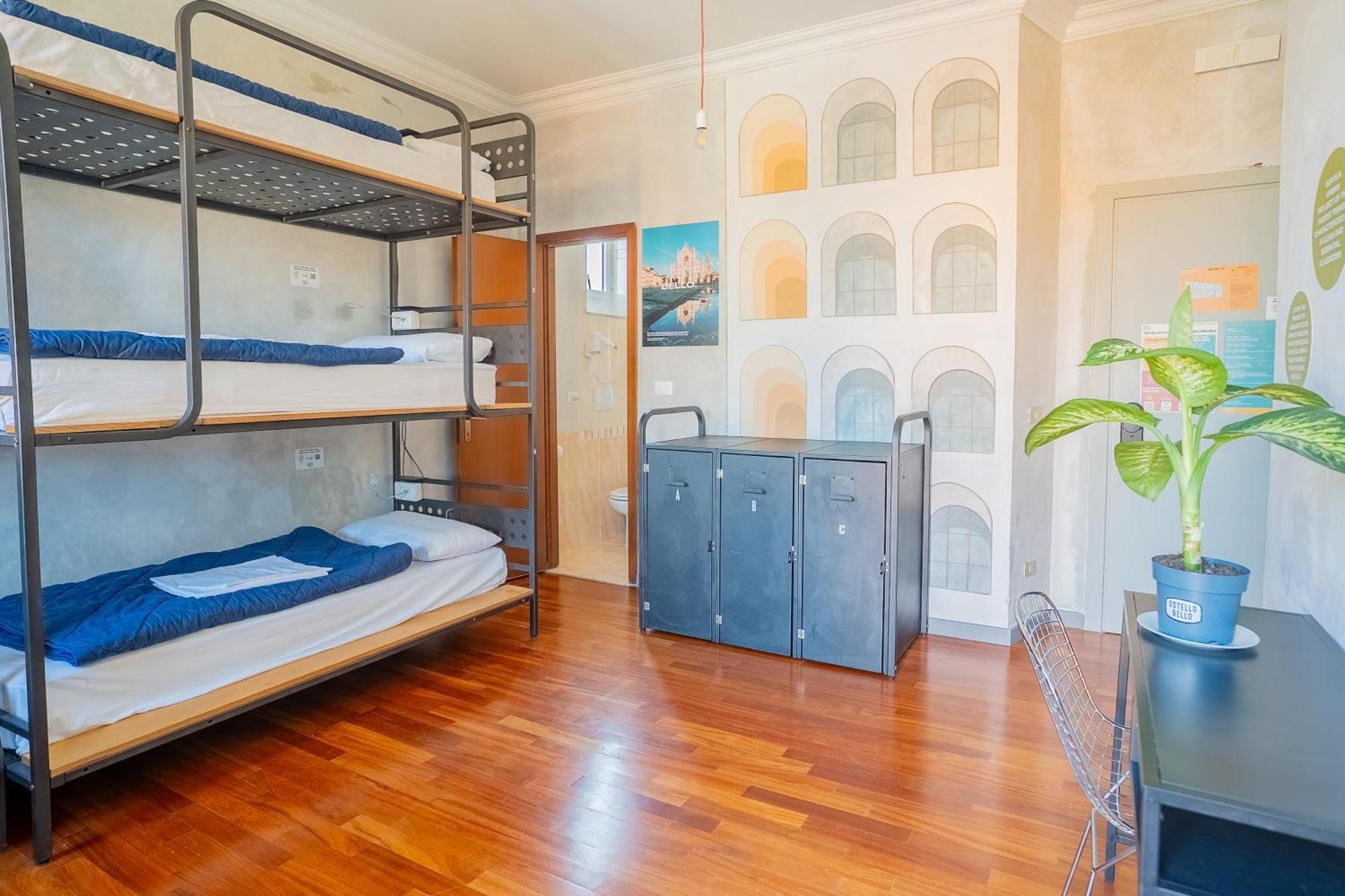 Bunk Bed Mixed Dormitory Room