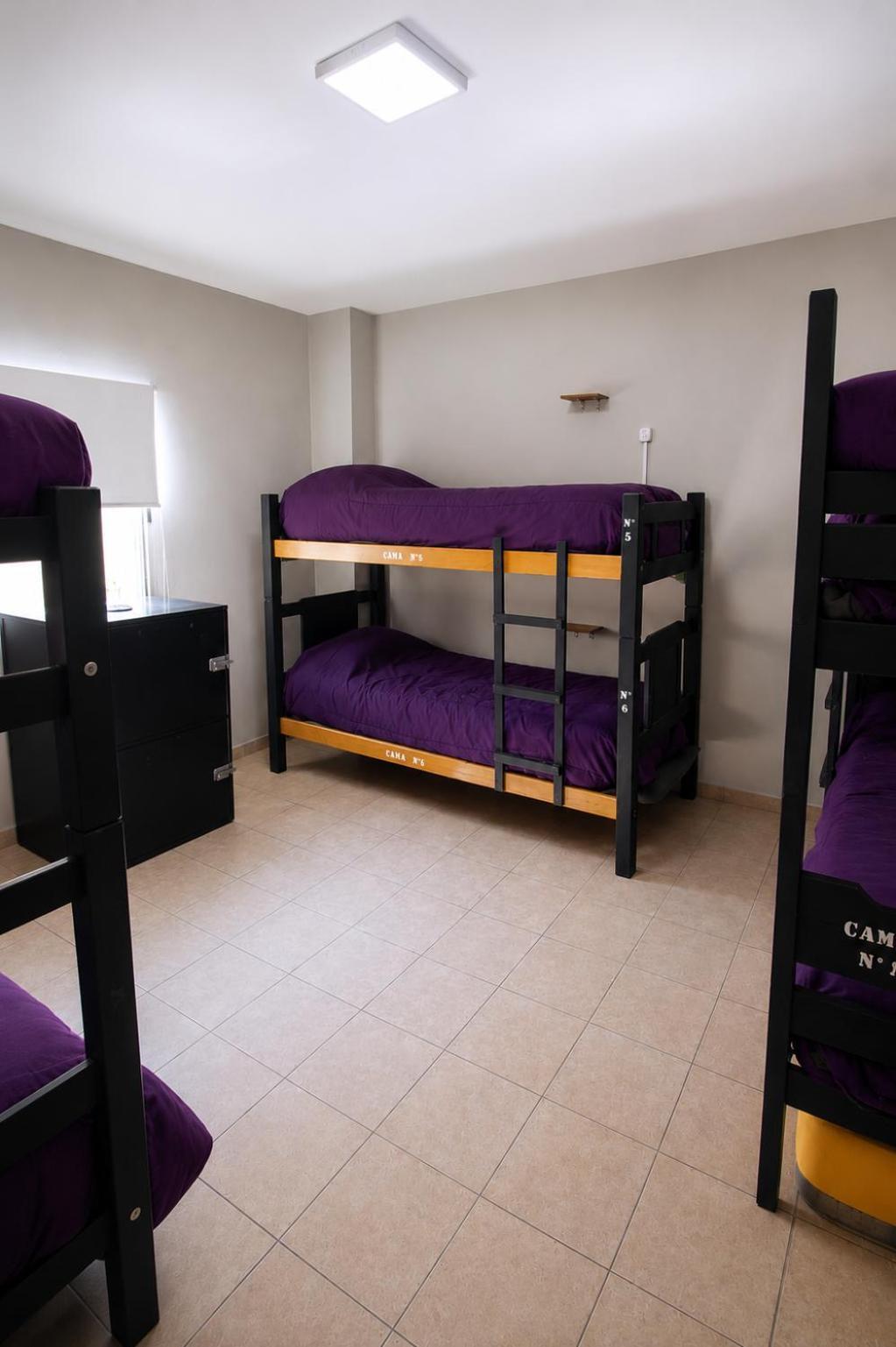 Bed 6-Bed Female Dormitory Room