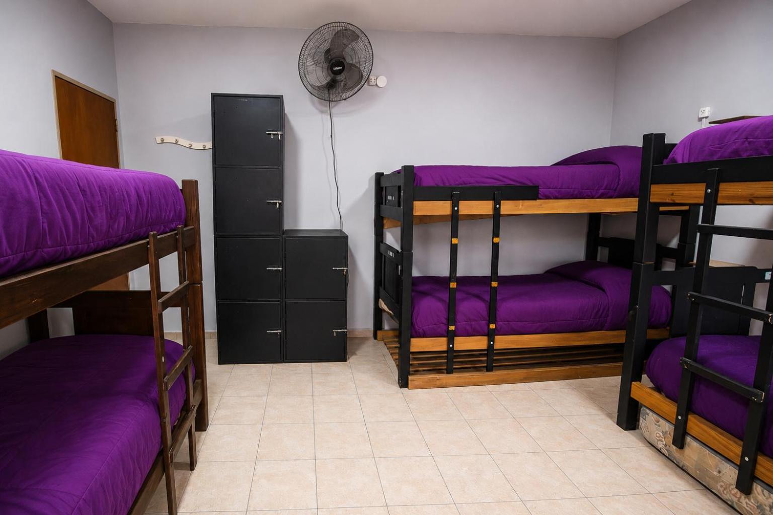 Bed 6-Bed Mixed Dormitory Room