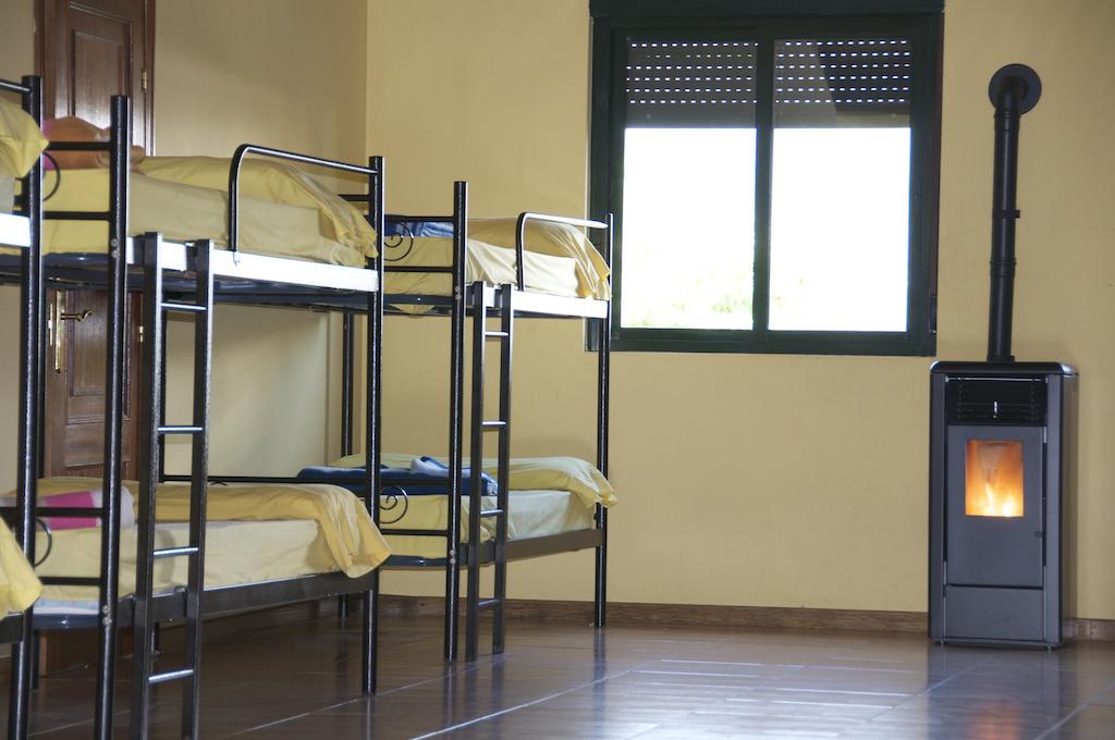 1 Bunk Bed 20-Bed Mixed Dormitory Room