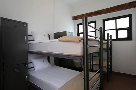Bed 4-Bed Mixed Dormitory Room,31036199:JPEG