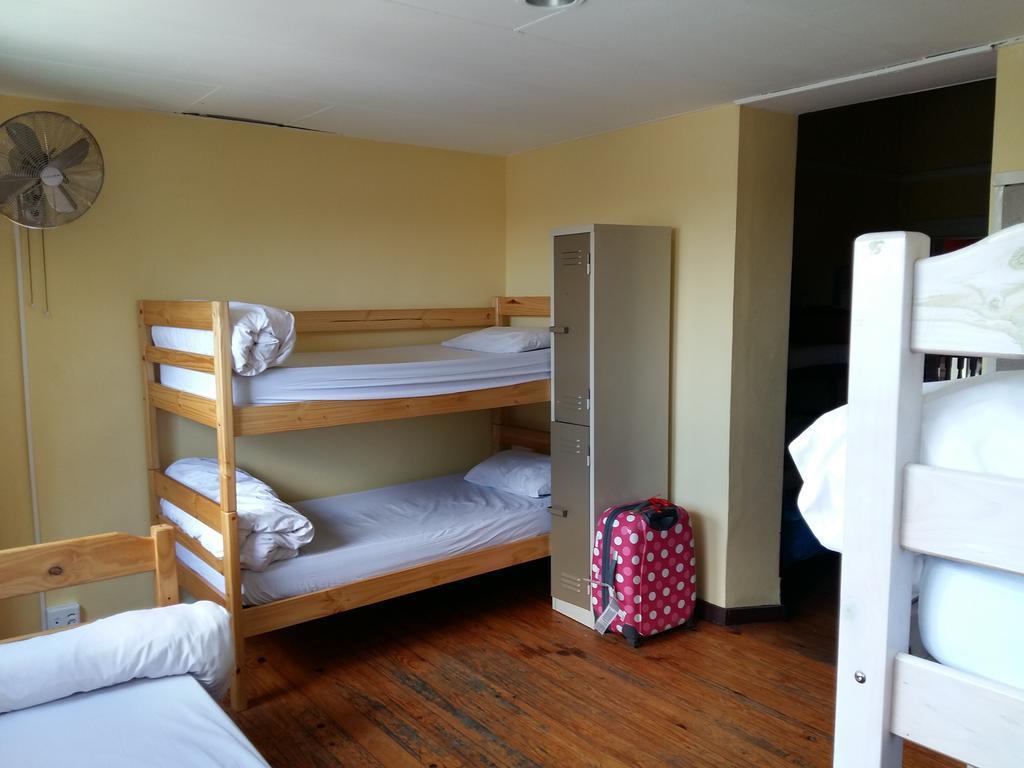 Bett im gemischten Schlafsaal mit 8 Betten