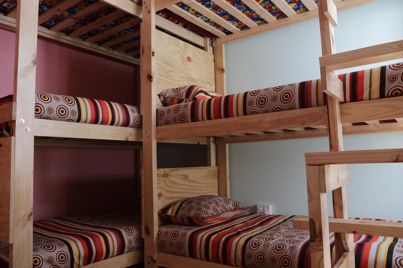 Bed in 6-Bed Female Dormitory Room with Shared Bathroom