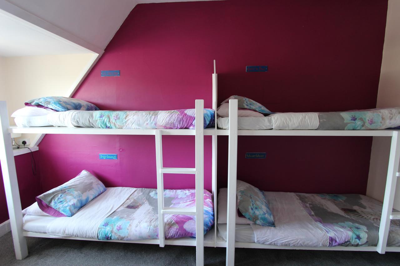 Bunk Bed Mixed Dormitory Room