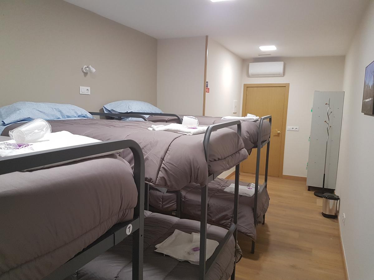 Bunk Bed Mixed Dormitory Room