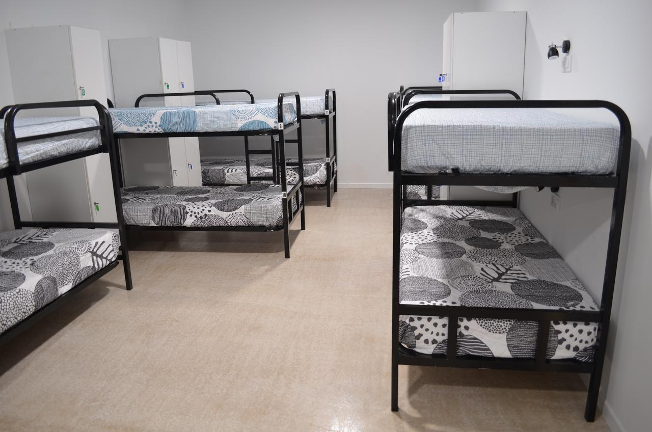 Bunk Bed in Mixed Dormitory Room,587045625:JPEG