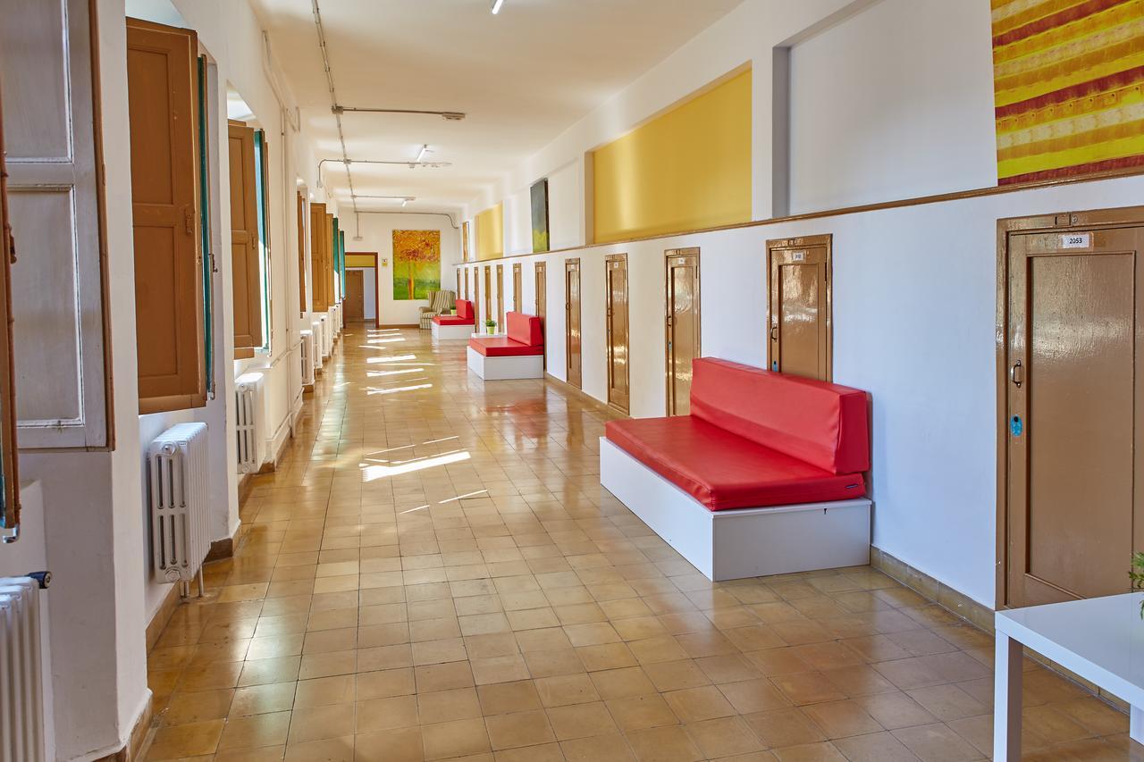 Single Bed Mixed Dormitory Room