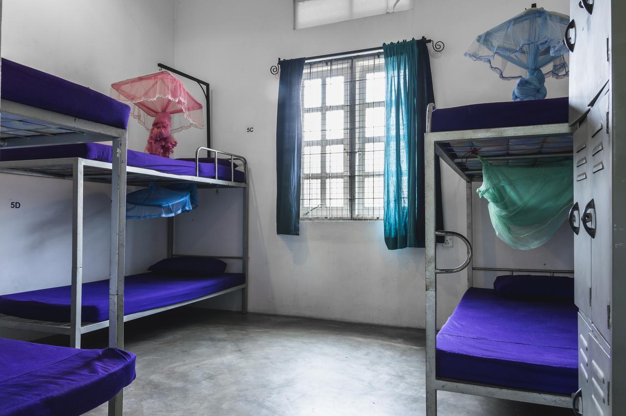 Bed 6-Bed Female Dormitory Room